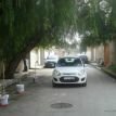 dzairauto- Ford FIgo02.jpg