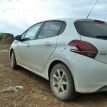 www.dzairauto.com_Peugeot20800008.jpg