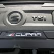 www.dzairauto.com _Seat Leon Cupra00010.jpg