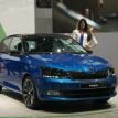www.dzairauto.com-Skoda Fabia0027.jpg