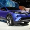 www.dzairauto.com_Toyota C-HR0001.jpg