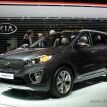 www.dzairauto.com_ Kia Sorento0006.jpg